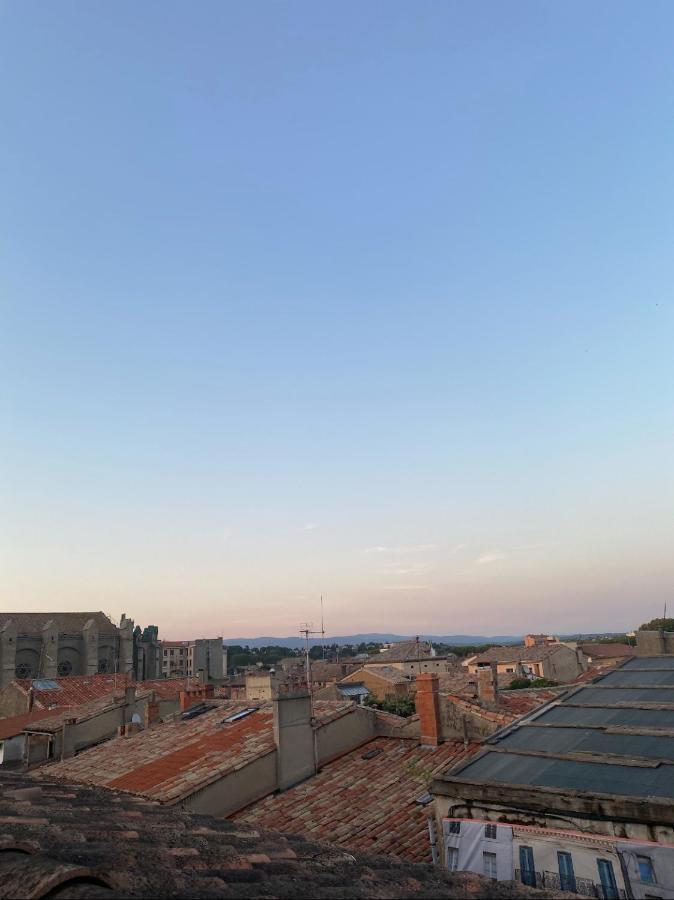 Rooftop Standing Place Carnot Carcassone Kültér fotó
